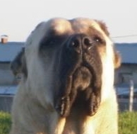 Aksaray Malaklisi thumbnail 3