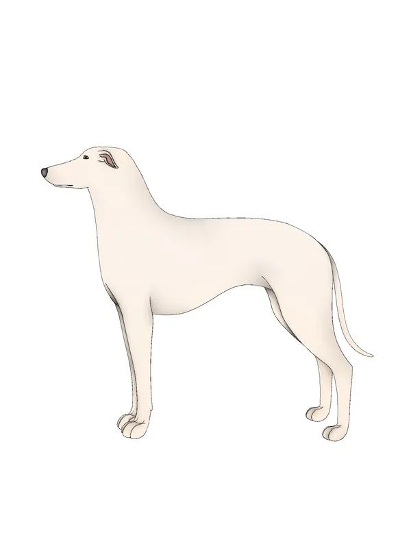 Kaikadi, a 86% match to Border Terrier