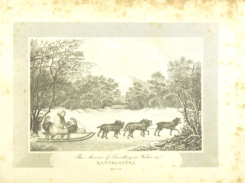 Kamchatka Sled Dog photo thumbnail 1