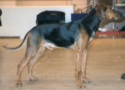 Schillerstovare photo thumbnail 2