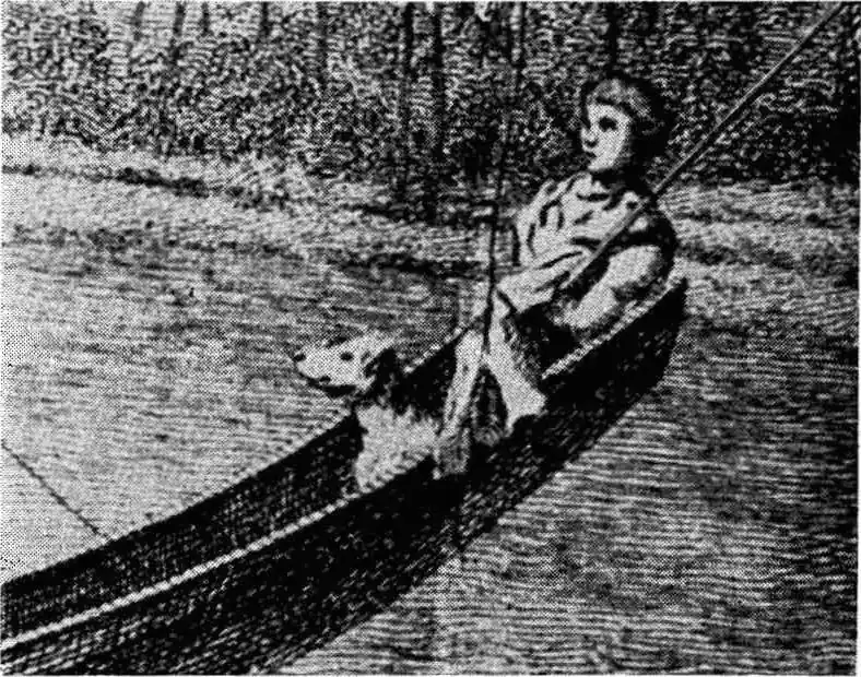 Tahitian Dog - Image 1