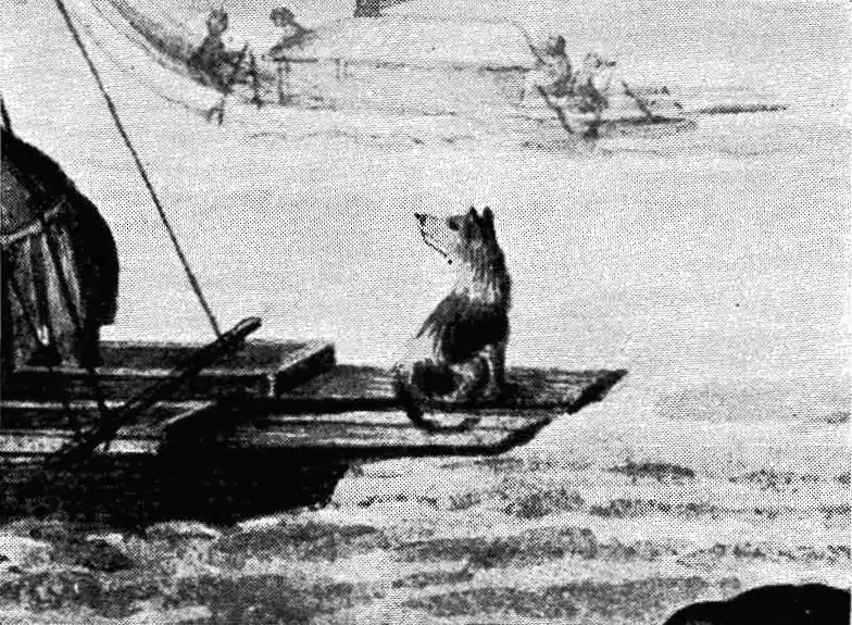 Tahitian Dog photo thumbnail 2