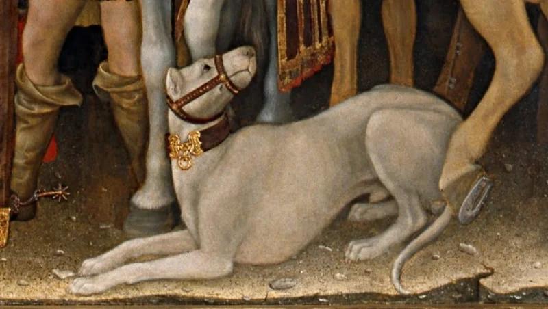 Alaunt, a 90% match to Cantabrian Water Dog