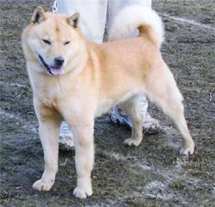 Hokkaido photo thumbnail 2