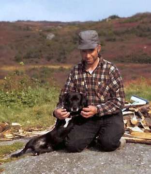 St. John's Water Dog photo thumbnail 1